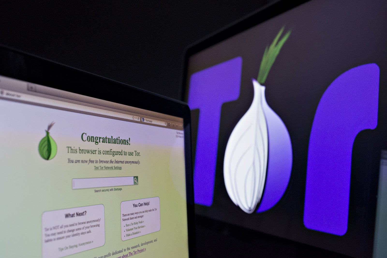Tor запускает программу bug bounty